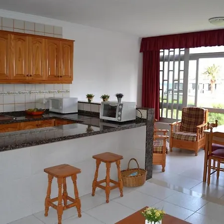 Vcv Tabaibas San Agustín