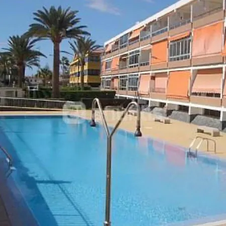 Vcv Tabaibas *